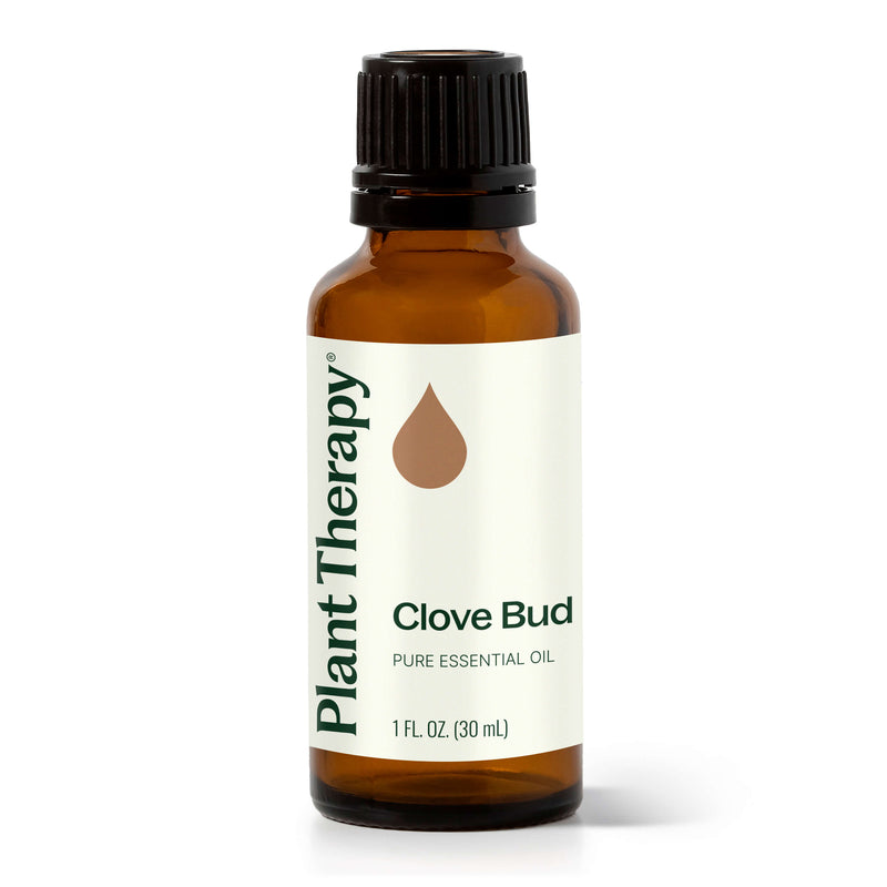Plant Therapy Clove Bud Essential Oil Essential Oil White Smoke 30 mL