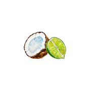 Rustic Strength Coconut & Lime EO / FO Blend Scent