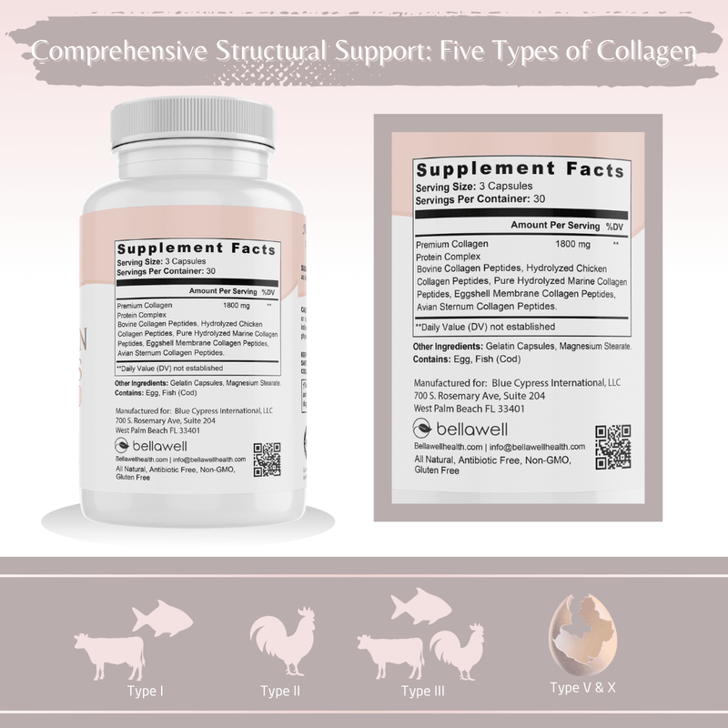 Bellawell Health Collagen Peptides Types I, II, III, V, X by Bellawell Capsules Dark Gray