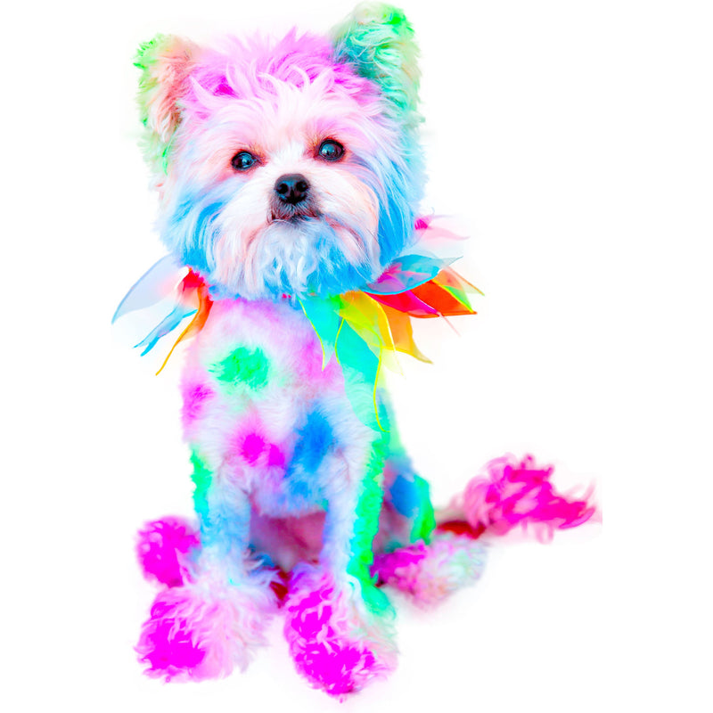 Warren London Canine Color Semi Perm Coat Color Shampoo for Dogs Spa Product