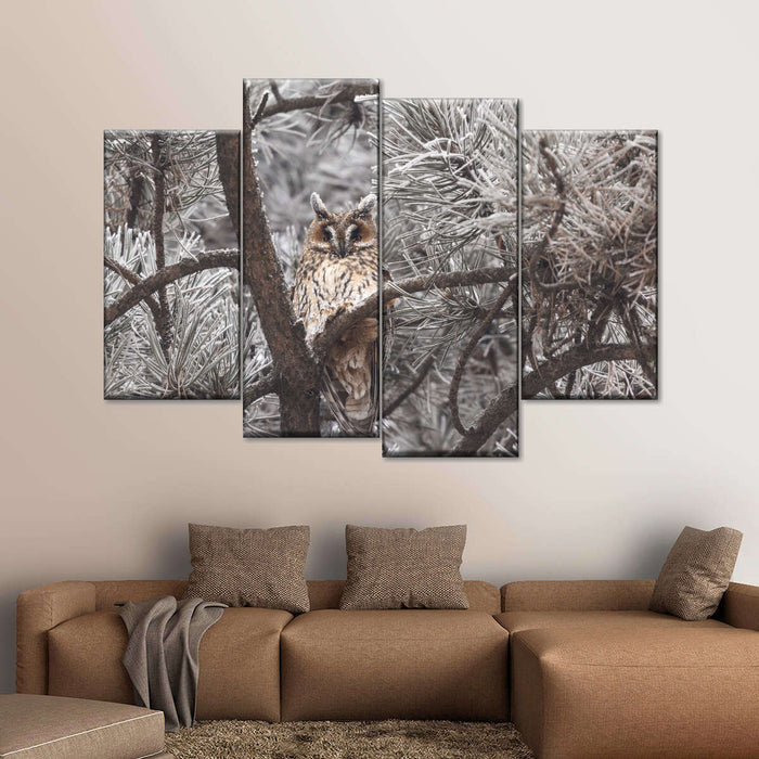 Great Horned Owl Wall Art