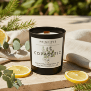 P R I N C I P L E Copacetic Soy Wax Candle Candles