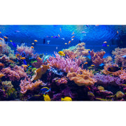 Meadow and Bark Mineral 45 Sunscreen