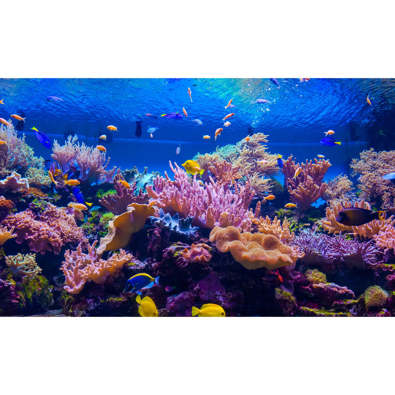 Meadow and Bark Mineral 45 Sunscreen