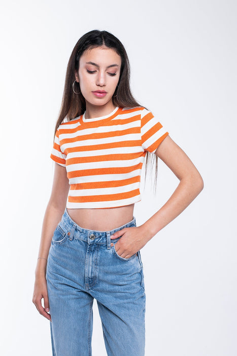 Ribbed Striped Crop T-Shirt