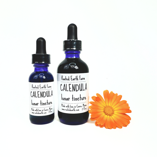 Rooted Earth Farm + Apothecary - Calendula Tincture 1oz - 2 oz. 