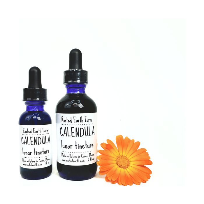 Rooted Earth Farm + Apothecary - Calendula Tincture 1oz - 2 oz. 