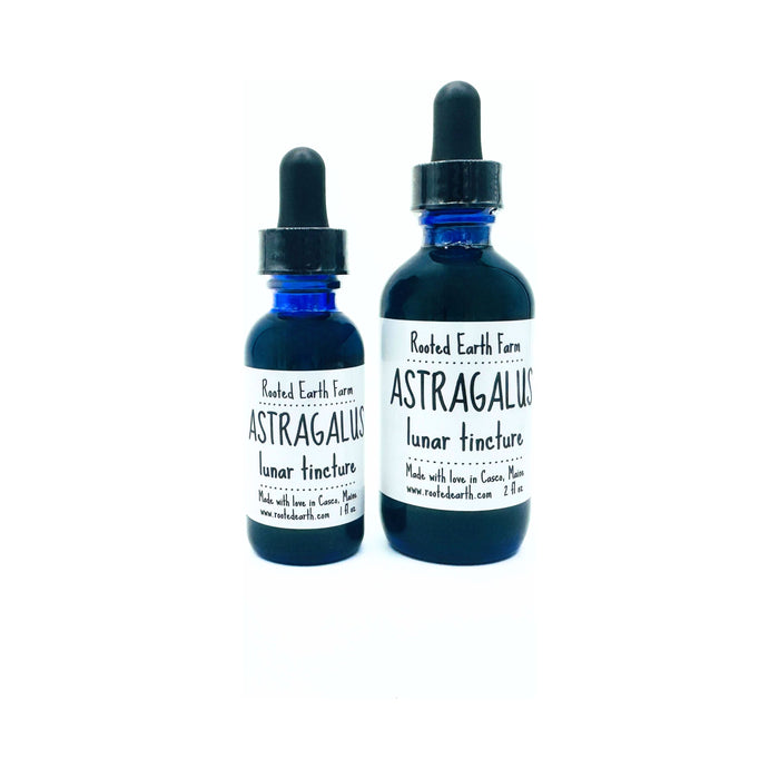 Astragalus Root Tincture