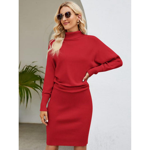 Turtle Neck Long Sleeve Ribbed Sweater Dress