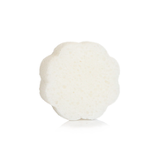 Spongellé Coconut Verbena | Daisy Spongette Body Wash Infused Buffer