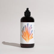 Shore Soap Co. Daydream Hand & Body Lotion (Amber) Body Lotion