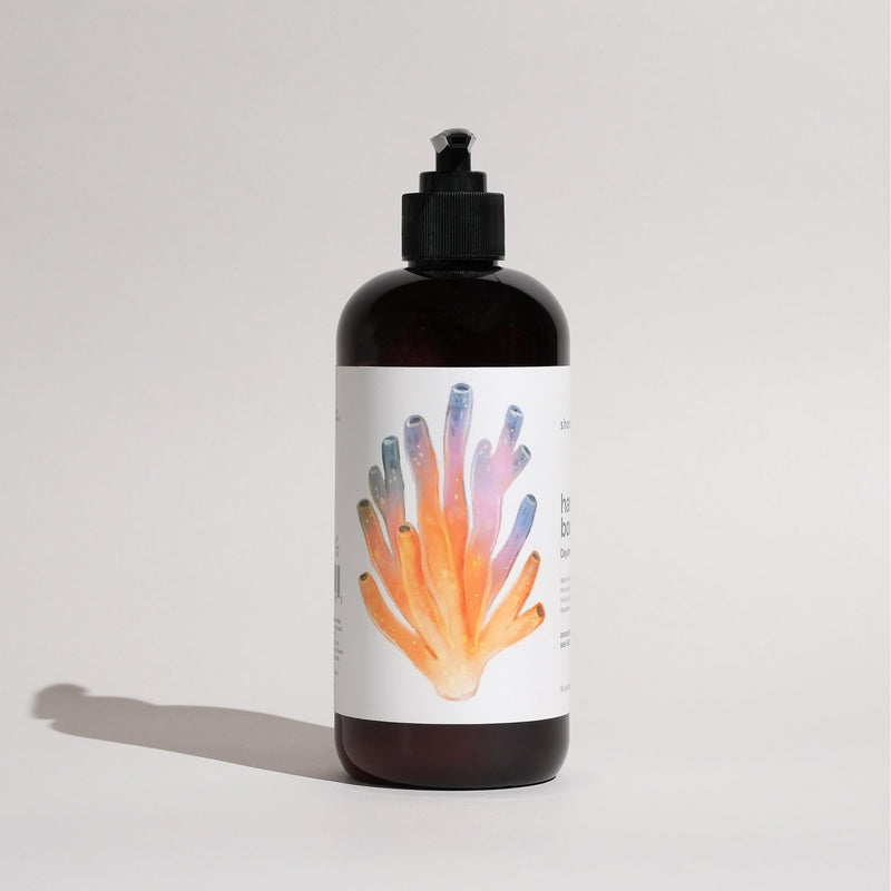 Shore Soap Co. Daydream Hand & Body Lotion (Amber) Body Lotion