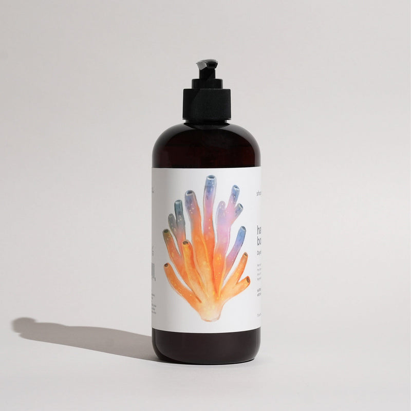 Shore Soap Co. Daydream Hand & Body Wash (Amber) Liquid Soap