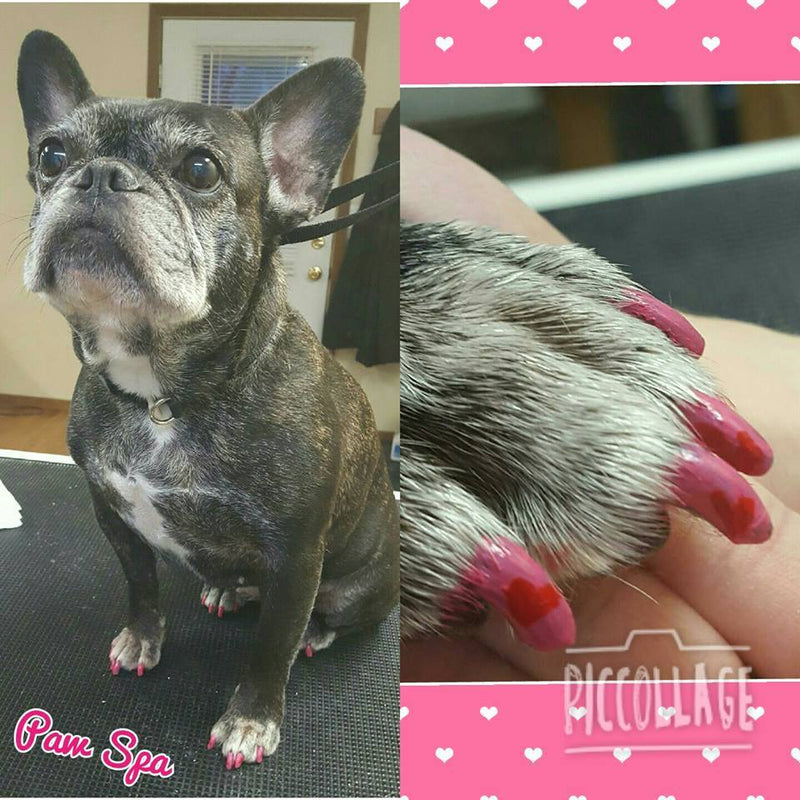 Warren London Polish Pen Bundle - Basics Dog Nail Polish