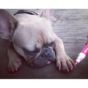 Warren London Polish Pen Bundle - Basics Dog Nail Polish