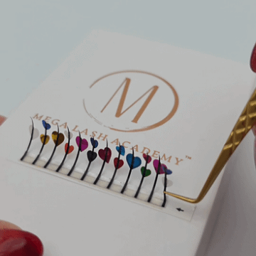 Mega Lash Academy Decal Spikes Lash Trays