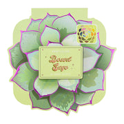 Profusion Cosmetics Desert Sage | 25-Shade Palette Makeup Brushes