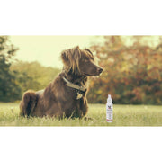 Warren London 10-In-1 Leave-In Conditioner and Detangling Spray Spa Product