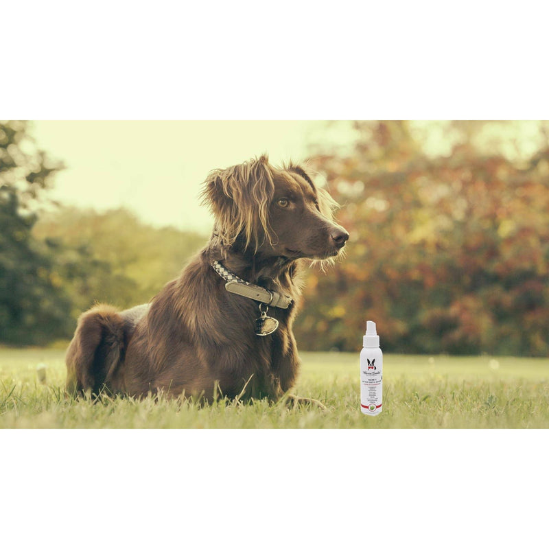 Warren London 10-In-1 Leave-In Conditioner and Detangling Spray Spa Product