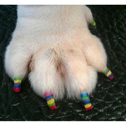 Warren London Pawdicure Polish Pens - Choose From 13 Colors! - Dog Nail Polish Dog Nail Polish