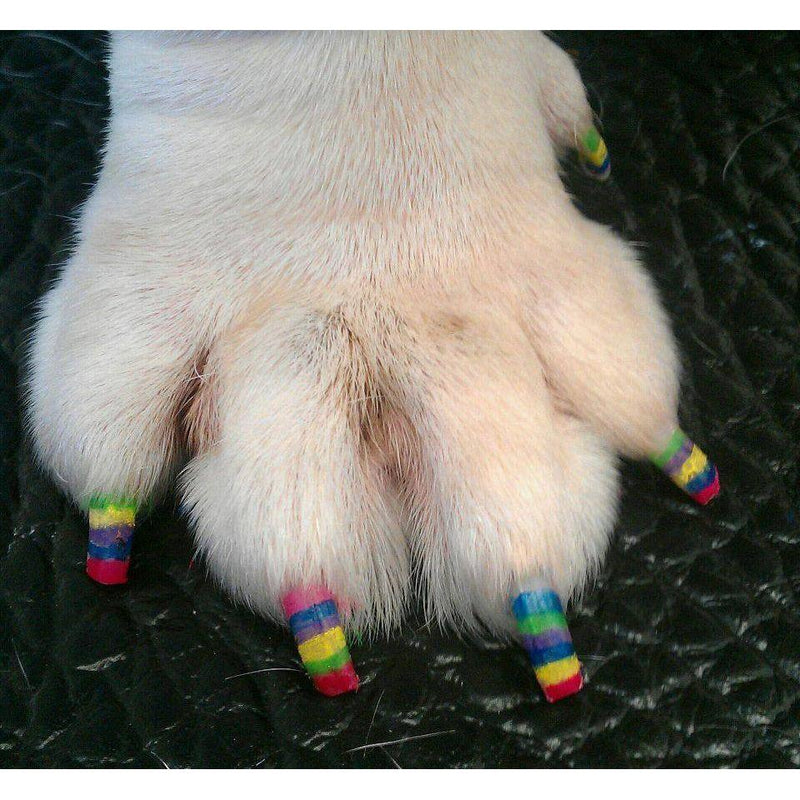 Warren London Pawdicure Polish Pens - Choose From 13 Colors! - Dog Nail Polish Dog Nail Polish