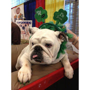 Warren London Pawdicure Polish Pens - Choose From 13 Colors! - Dog Nail Polish Dog Nail Polish