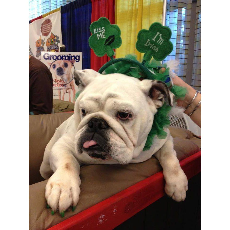 Warren London Pawdicure Polish Pens - Choose From 13 Colors! - Dog Nail Polish Dog Nail Polish