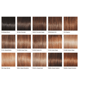 VIP Extensions DOWN TIME - wig by Raquel Welch Synthetic Wig