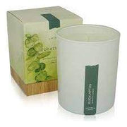 Thymes Thymes Poured Aromatic Candle Eucalyptus 9 Oz Aromatic Candle