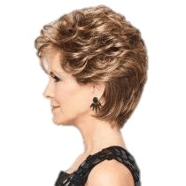 VIP Extensions Dream Do by Gabor Gabor Wigs