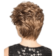 VIP Extensions Dream Do by Gabor Gabor Wigs