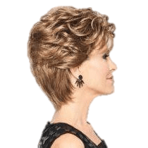 VIP Extensions Dream Do by Gabor Gabor Wigs