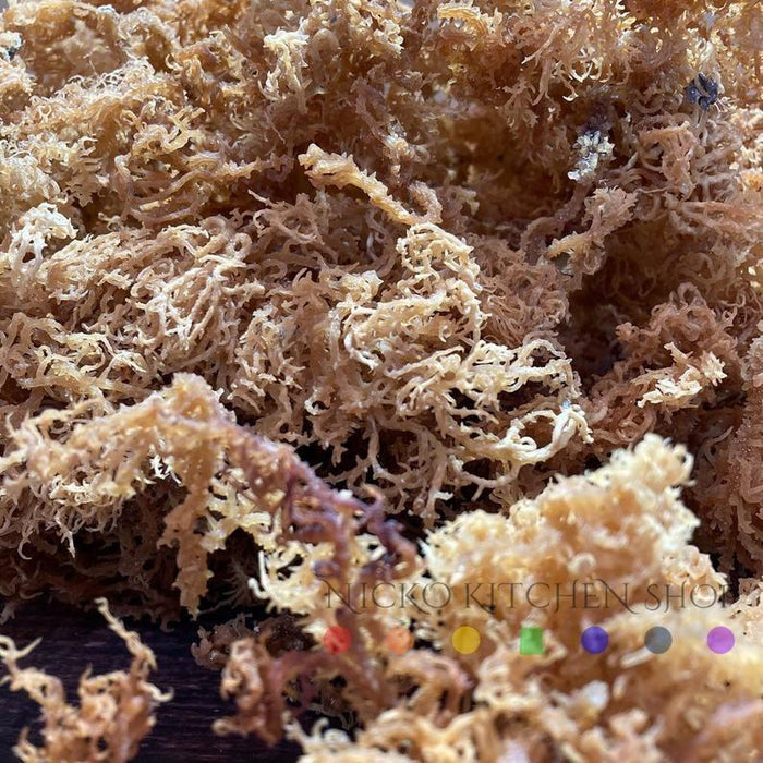 Dehydrated Wildcrafted Sea Moss | 100% Wildcrafted | Irish Moss