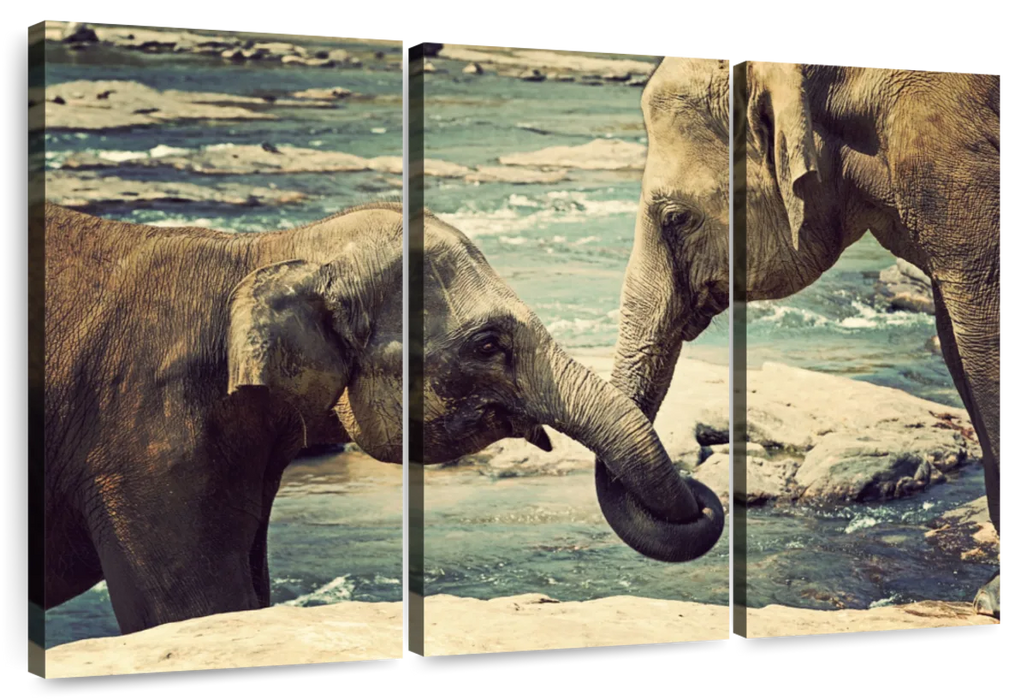 Asian Elephants Wall Art