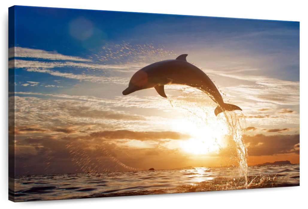 Jumping Dolphin Wall Art