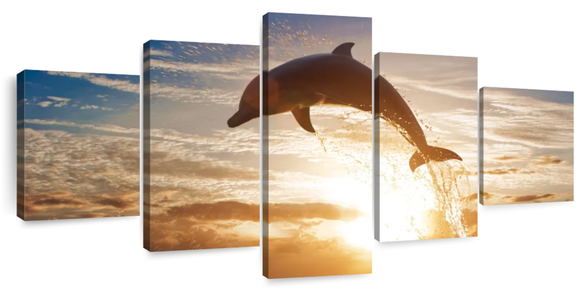 Jumping Dolphin Wall Art