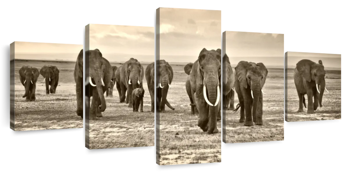 Herd Of Elephants Wall Art