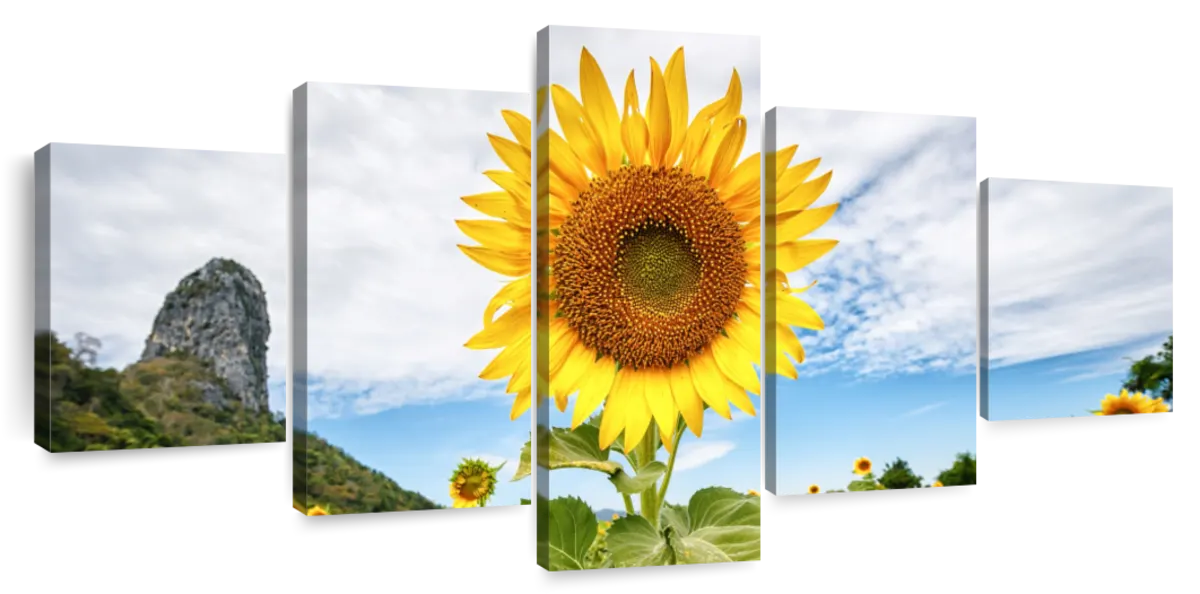 Golden Sunflower Wall Art