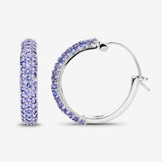 Bids.com 3.06 Carat Genuine Tanzanite .925 Sterling Silver Earrings Earrings