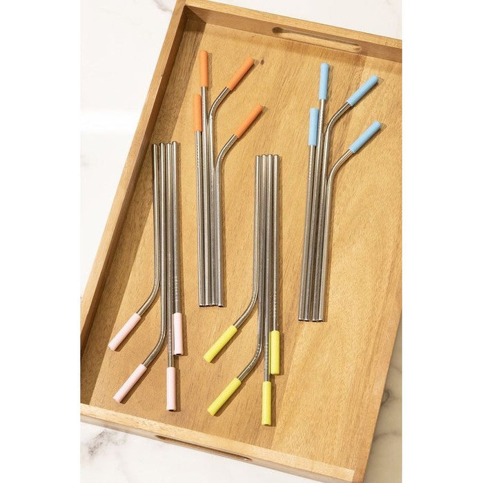 Reusable Metal Straw 20 Pcs Set & Silicone Tip