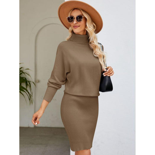 Turtle Neck Long Sleeve Ribbed Sweater Dress