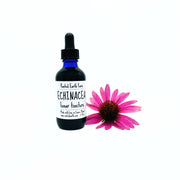 Rooted Earth Farm + Apothecary Echinacea Tincture Tinctures + Capsules