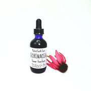 Rooted Earth Farm + Apothecary Echinacea Tincture Tinctures + Capsules