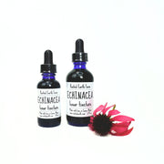 Rooted Earth Farm + Apothecary Echinacea Tincture Tinctures + Capsules