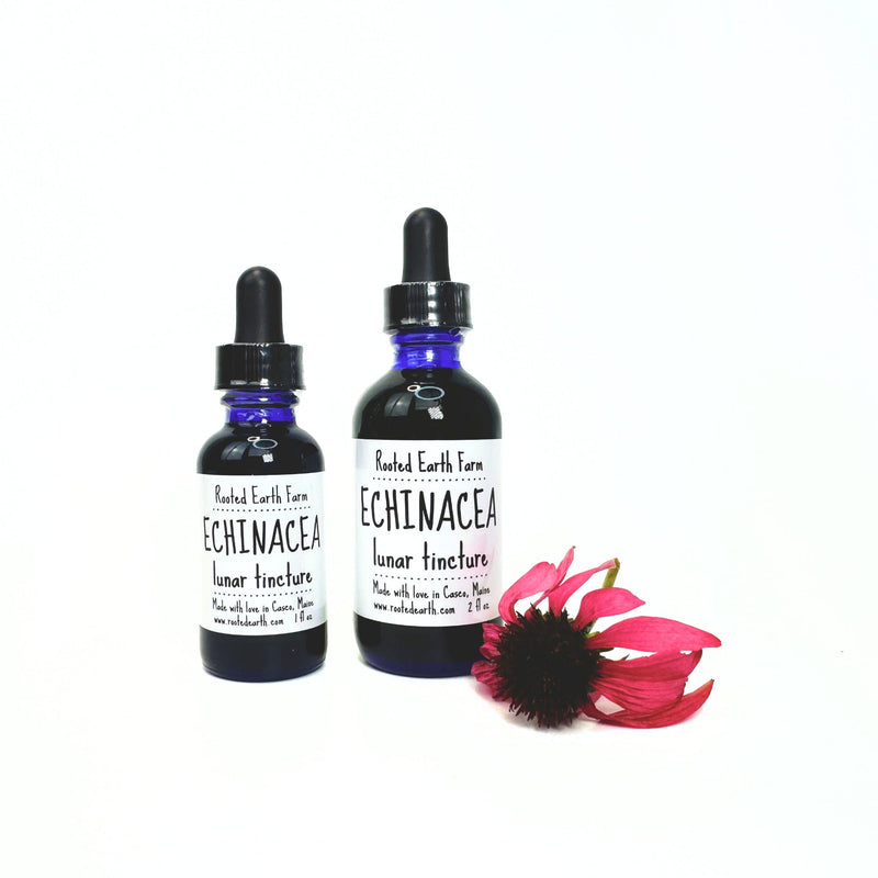 Rooted Earth Farm + Apothecary Echinacea Tincture Tinctures + Capsules