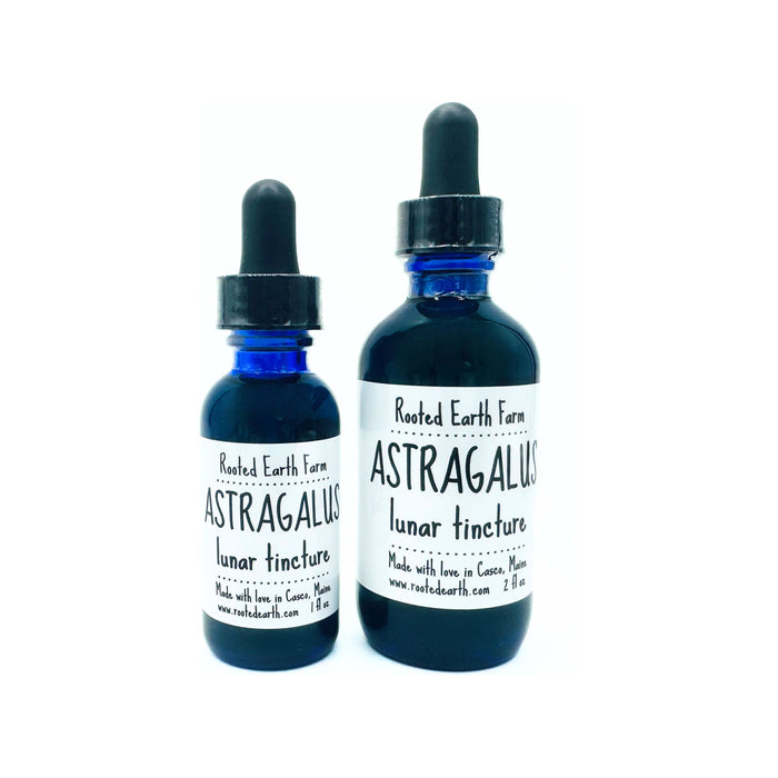 Astragalus Root Tincture