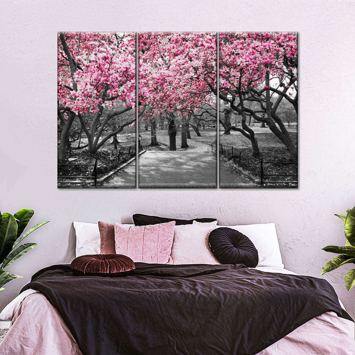 Central Park NY Cherry Blossoms Wall Art