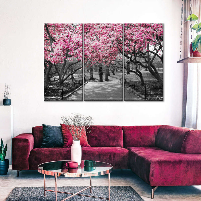 Central Park NY Cherry Blossoms Wall Art