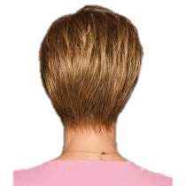 VIP Extensions Elation by Gabor Gabor Wigs