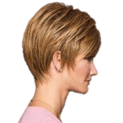 VIP Extensions Elation by Gabor Gabor Wigs